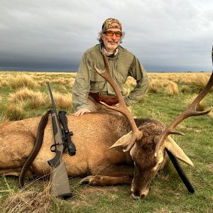 Red Stag Hunt Argentina