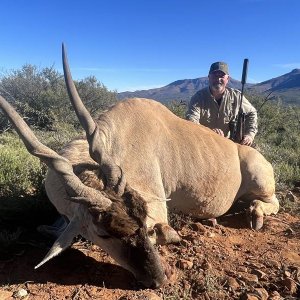 Eland Hunting Karoo South Africa