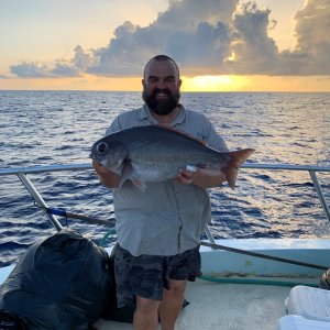 Barrelfish Fishing Florida