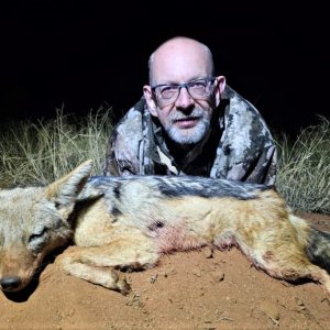 Jackal Night Hunt South Africa