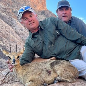 Klipspringer