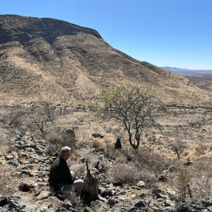 Hartmann's Zebra Hunt Namibia