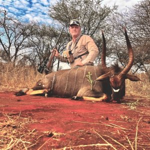 Nyala Hunt Limpopo South Africa