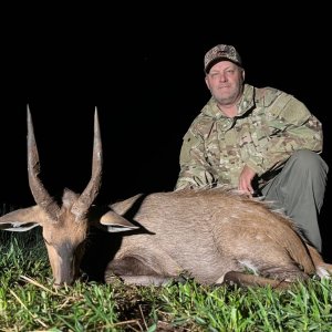 Bushbuck Hunt Limpopo South Africa