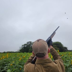 Wingshooting Argentina