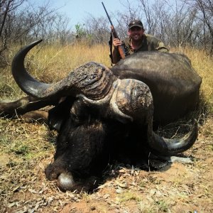 Buffalo Hunting