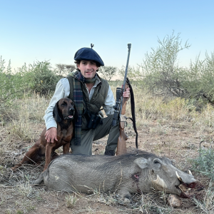 Warthog Hunt Namibia