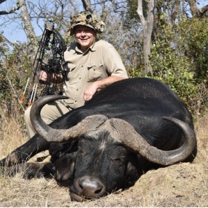 Cape Buffalo Bow Hunt South Africa