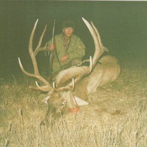 Elk 1992, North of Mongolia