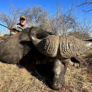 Buffalo Hunt South Africa