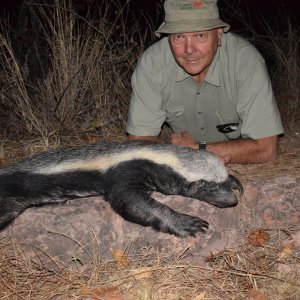 Honey Badger Hunt South Africa