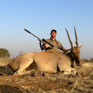 Eland Hunting Namibia