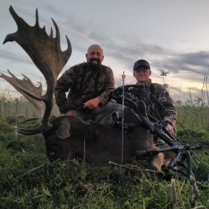 Fallow Deer Bow Hunt Argentina