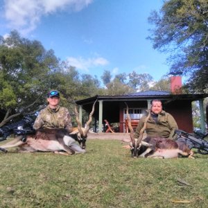 Blackbuck Hunt Argentina