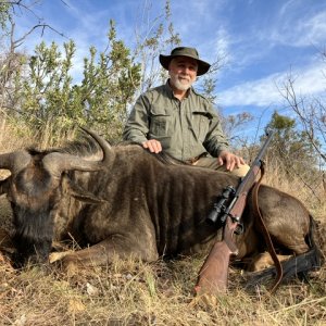 Blue Wildebeest Hunt South Africa