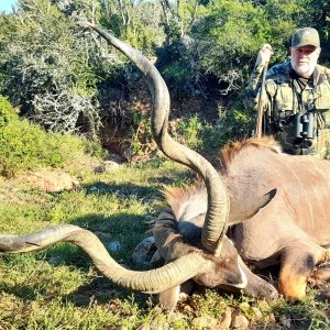 Kudu Hunting South Africa