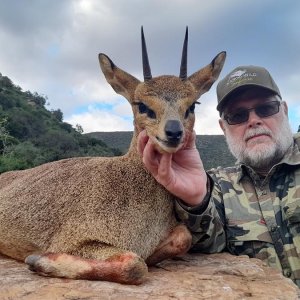 Klipspringer Hunting South Africa
