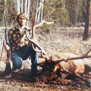 375 Inch Elk Hunt Montana