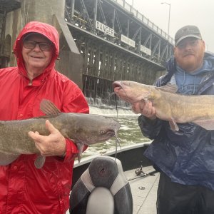 Fishing Catfish Canada