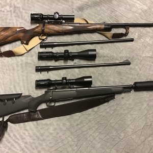 7mm Remington Magnum & .375 Holland & Holland Rifle