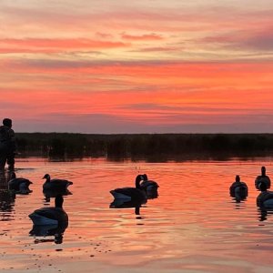 Sunrise & Duck Decoys