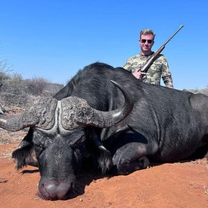 Buffalo Hunt South Africa