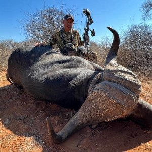 Buffalo Bow Hunt South Africa