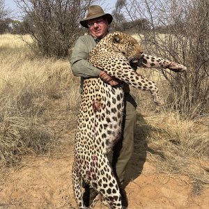 Leopard Hunt With Hounds Botswana