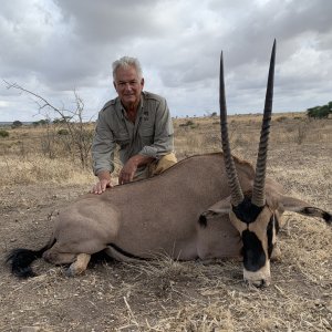 Gemsbok Hunt Tanzania