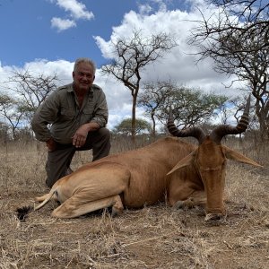 Hartebbest Hunt Tanzania