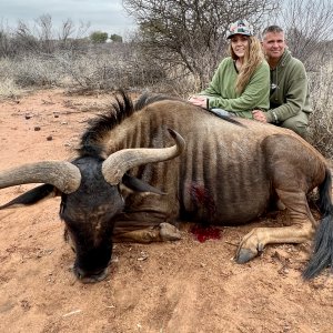 Blue Wildebeest Crossbow Hunt South Africa