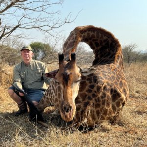 Giraffe Hunt South Africa