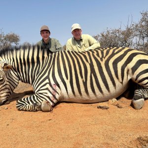 Zebra Hunt Namibia