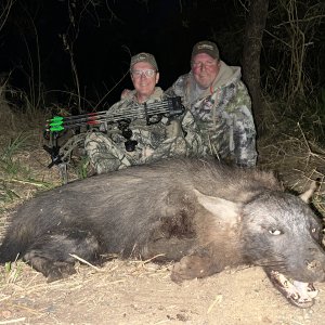 Brown Hyena Bow Hunting South Africa