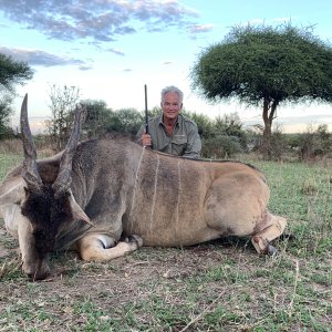 Eland Hunt Tanzania