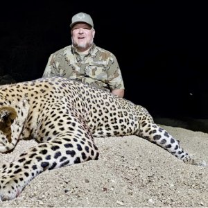 Leopard Hunt Namibia