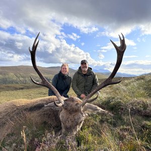 Red Stag Hunt Scotland