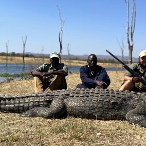 Crocodile Hunt Charara Zimbabwe