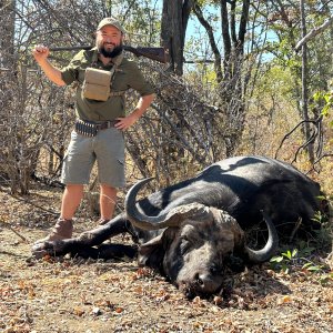 Buffalo Hunt Charara Zimbabwe