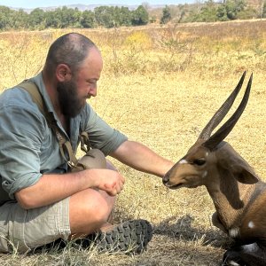 Bushbuck Hunt Charara Zimbabwe