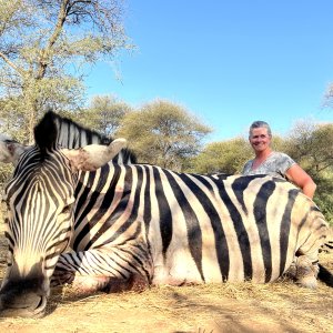 Zebra Hunt South Africa