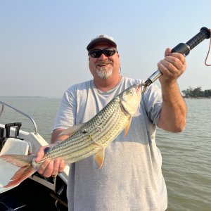 Tiger Fishing South Africa