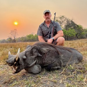Warthog Hunting Zambia
