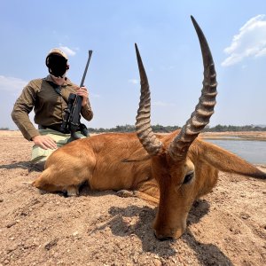 Puku Hunt Zambia