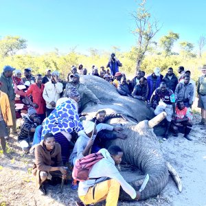 Elephant Hunt Namibia