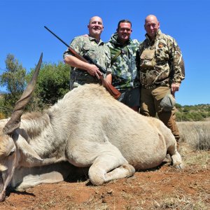 Eland Hunt South Africa