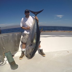 Black Fin Tuna Fishing West Coast