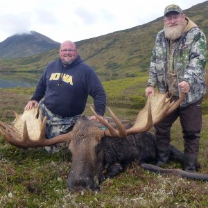 Moose Hunting