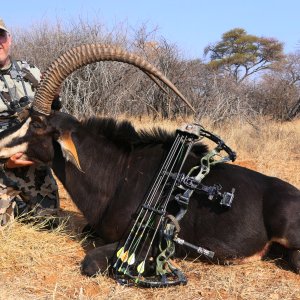 Sable Bow Hunting South Africa