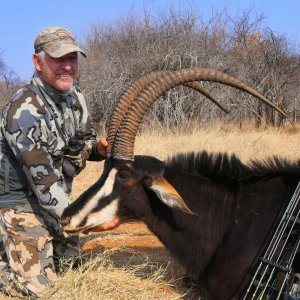 Sable Bow Hunting South Africa